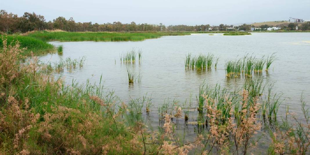 Nüfusu az, tarihi ve tarımı zengin! Evliya Çelebi bile burayı övmüş: Doğal zenginliği göz kamaştırıyor 5